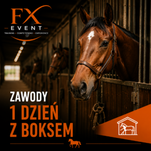 Zawody – 1 dzień z boksem