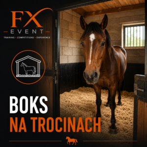 Boks na trocinach